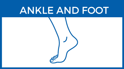 Ankle & foot